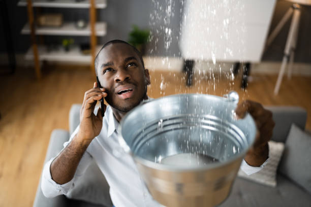 Best Water damage cleanup near me  in Wheatland, WY