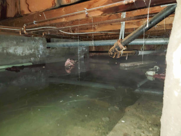 Water damage restoration mold remediation in WY