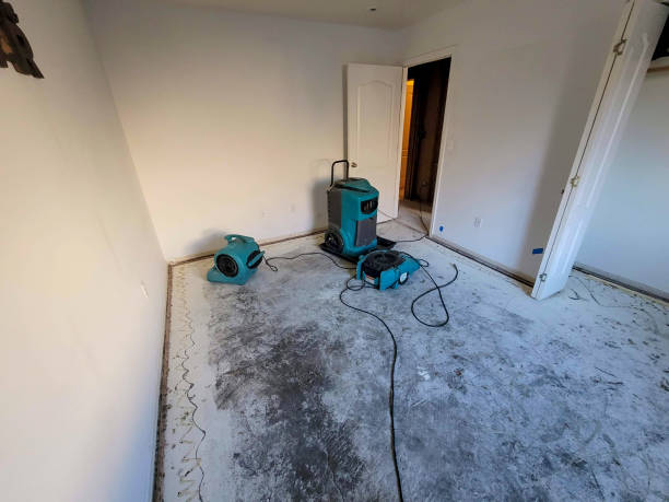 Best Flooded house restoration  in Wheatland, WY