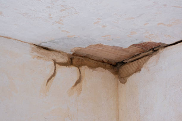 Best Ceiling water damage repair  in Wheatland, WY