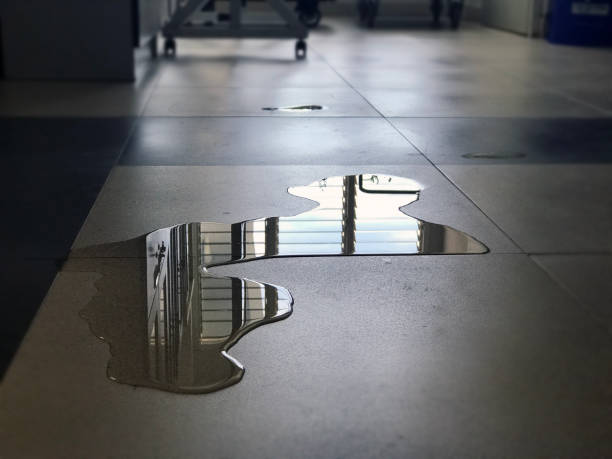 Best 24-hour water damage restoration  in Wheatland, WY