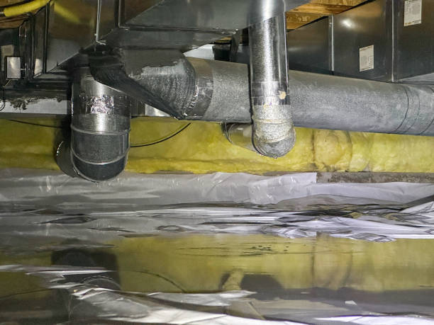 Best Basement water damage restoration  in Wheatland, WY